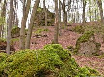 3 NSG Katzenstein